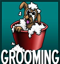 pet grooming services