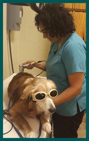 Laser Therapy